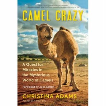 Black Podcasting - Author Christina Adams talks #CamelCrazy on #ConversationsLIVE