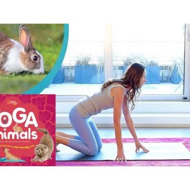 Black Podcasting - Tara Stiles discusses #Yoga and #YogaAnimals on #ConversationsLIVE