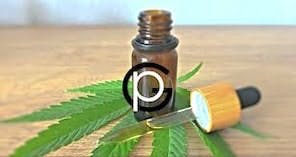 Cannabis: From Vision To Value Black Podcasting - Cannabis: From Vision To Value