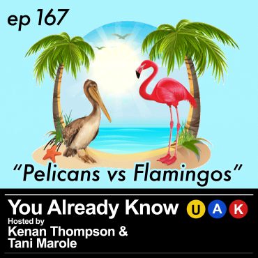 Black Podcasting - Pelicans vs Flamingos
