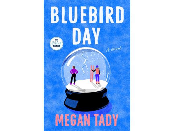 Black Podcasting - Author Megan Tady discusses storytelling, BLUEBIRD DAY on Conversations LIVE