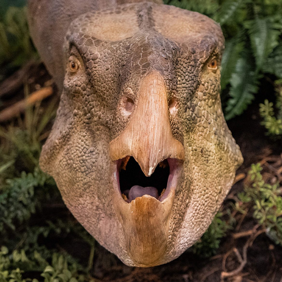 Black Podcasting - The day the dinosaurs died