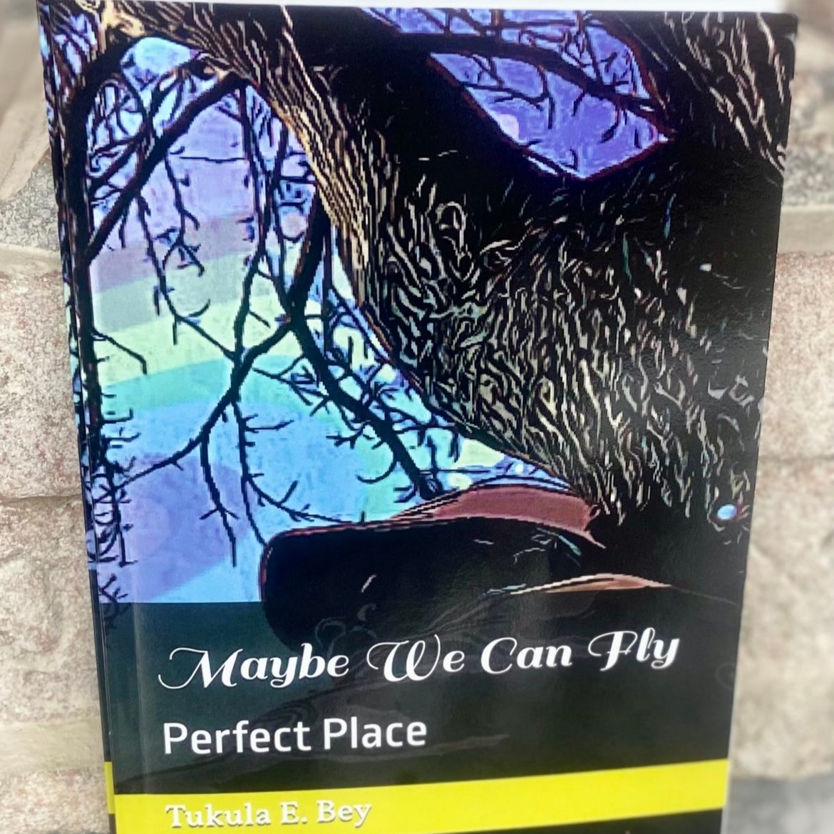 Black Podcasting - MAYBE WE CAN FLY BOOK