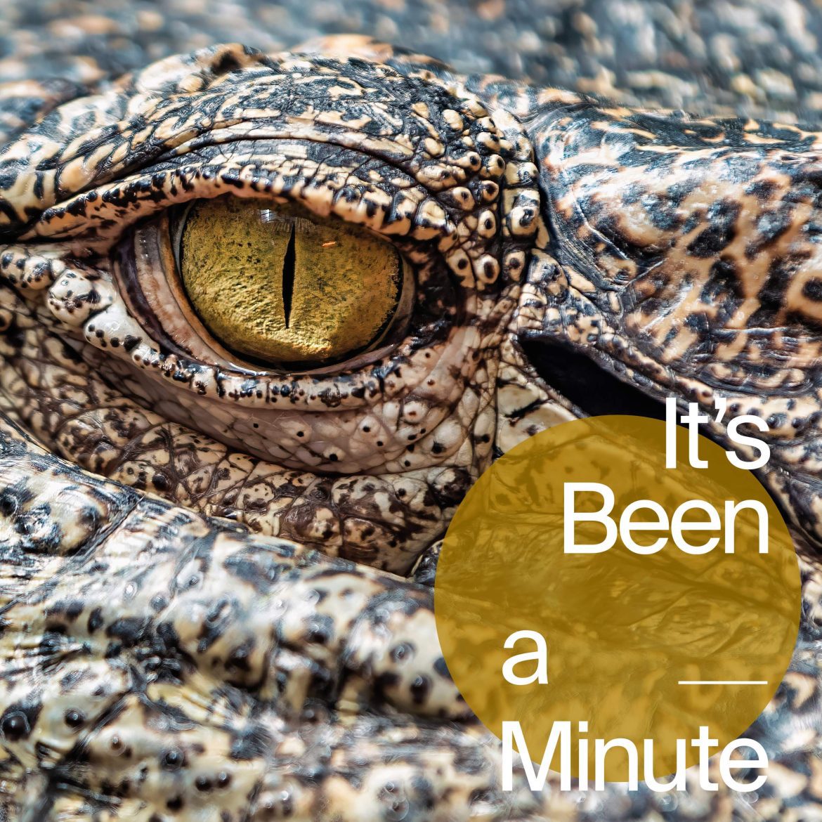 Black Podcasting - The lessons I learned from 'Alligator Alcatraz'