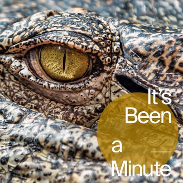 Black Podcasting - The lessons I learned from 'Alligator Alcatraz'