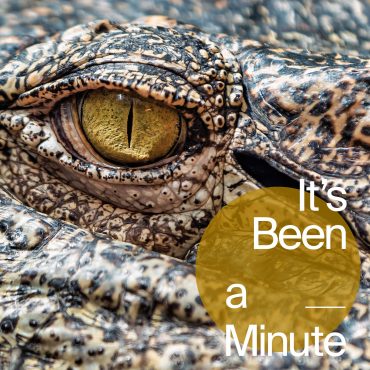 Black Podcasting - The lessons I learned from 'Alligator Alcatraz'