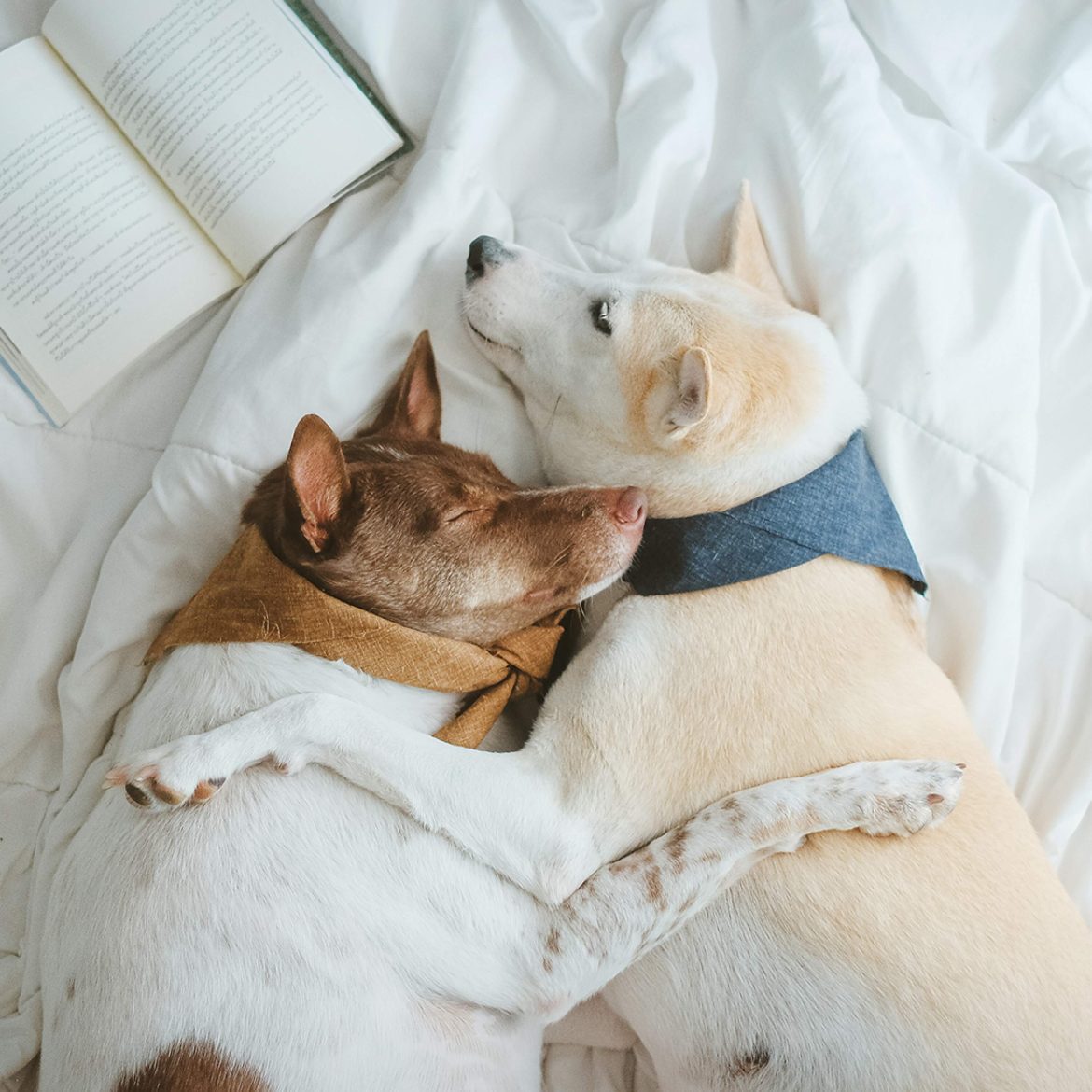 Black Podcasting - Who counts as a significant other?