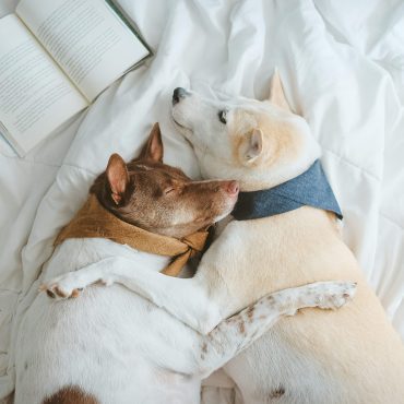 Black Podcasting - Who counts as a significant other?