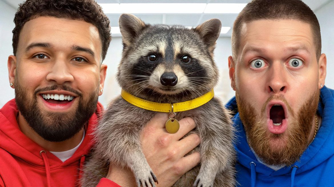 REVEALING MY PET OPOSSUM! -You Should Know Podcast- Black Podcasting - REVEALING MY PET OPOSSUM! -You Should Know Podcast-