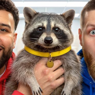 Black Podcasting - REVEALING MY PET OPOSSUM! -You Should Know Podcast-
