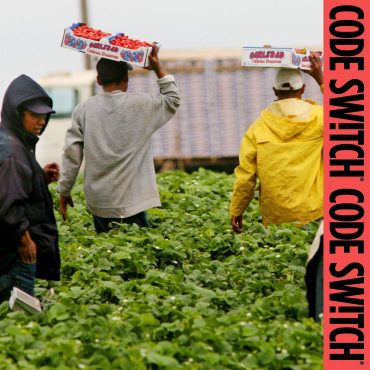 Black Podcasting - How farm work became the exception to Trump's border crackdown